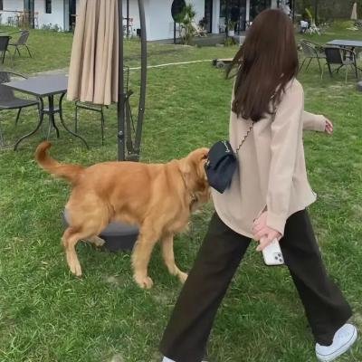 傻冒经理